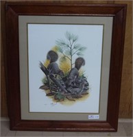 Framed Print of Squirrels by Balke
