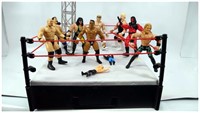 WWE Wrestler Ring & Action Figures