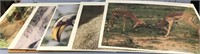 Lot of 5 shrink wrapped photo posters of African a