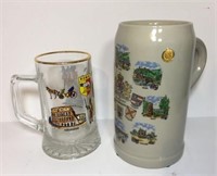 Ceramic & Glass Beer Mug