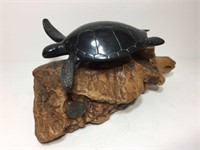 John Perry Turtle on Driftwood