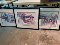 set of 3 North American movers, framed prints
