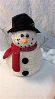 14x19x8” Light up snowman batteries not included