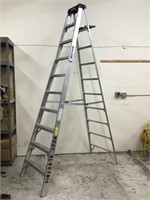 Werner 10 ft Ladder
