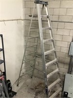 Werner 10 ft Aluminum Ladder