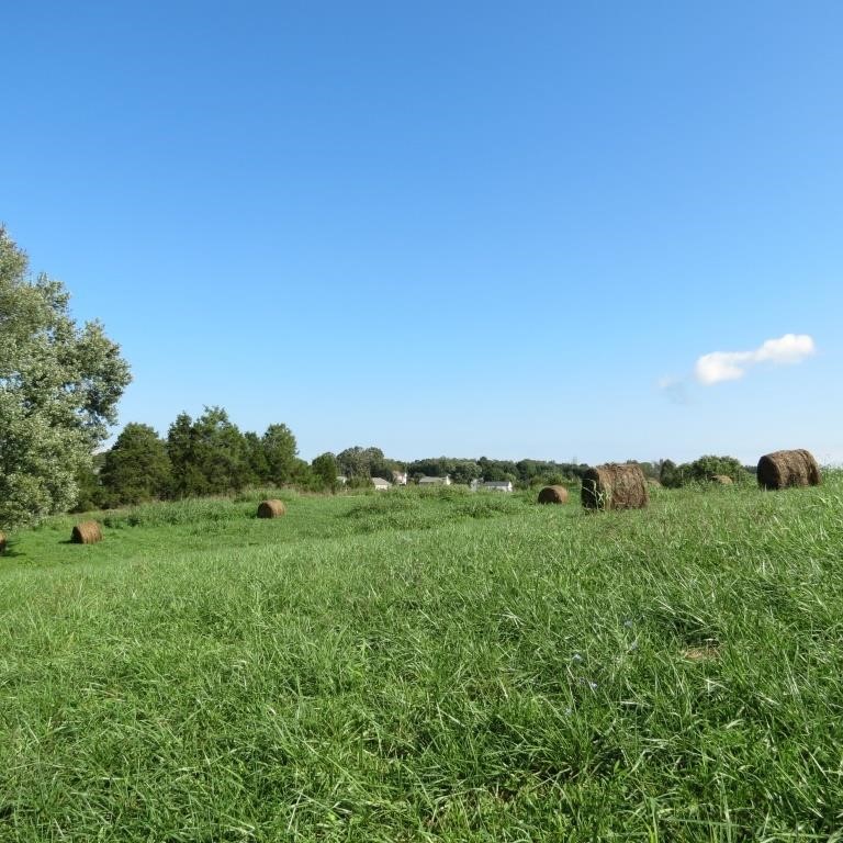 The Broyles Trust - Lingo Farms