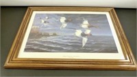 * Ahead of the Storm - Canvasbacks Signed Print by