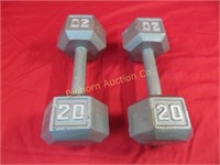 Cast Iron Dumbbell Weights 20lbs Each