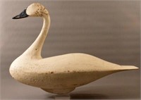 Antique Hand Carved Tundra Swan Decoy
