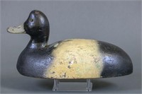 Bluebill Drake Duck Decoy by Unknown Carver,