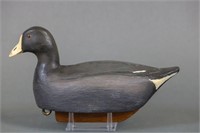 Coot Duck Decoy by Unknown Carver, Glass Eyes,