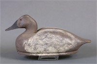 Canvasback Hen Duck Decoy by J.W Page of MI,