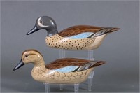 Charlie 'Chas' Moore, Pair of Blue-winged Teal