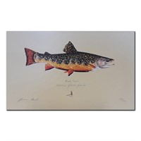 James Prosek's "Brook Trout" Limited Edition Print