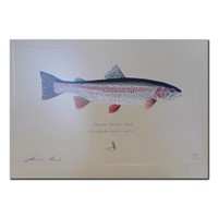 James Prosek's "Alaskan Rainbow Trout" Limited Edi