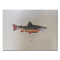 James Prosek's "Brook Trout" Limited Edition Print