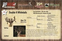 BL733 TALL BOY DOE BRED TO JUSTIFIED