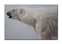 Robert Bateman's "Polar Bear Profile" Limited Edit