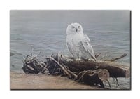 Robert Bateman's "Snowy Owl On Driftwood" Limited