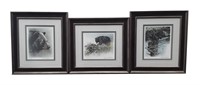 Robert Bateman's "Black Bear Foraging", "Black Bea