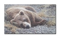 Robert Bateman's "Grizzly At Rest" Limited Edition