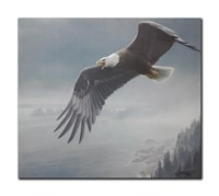 Robert Bateman's "On The Wing- Bald Eagle" Limited