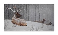 Robert Bateman's "Evening Snowfall- American Elk"