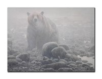 Robert Bateman's "End Of Season- Grizzly" Limited