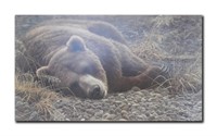 Robert Bateman's "Grizzly At Rest" Limited Edition