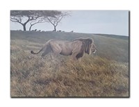 Robert Bateman's "Lion And Wildebeest" Limited Edi