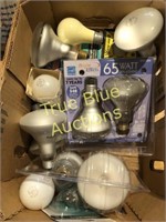 Flood lights & bulbs