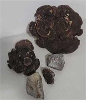 Misc minerals/rocks and petrified mushrooms