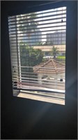 PGT impact solid pane window with blinds