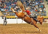 One student admission to Rodeo School