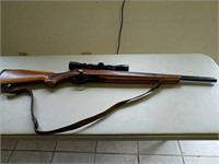Remington Model 600, 350 caliber REM -mag