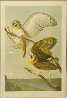 John James Audubon (1785 - 1851) J. Bein Barn Owl