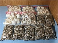 12 - Pkgs of Craft Seashells Ready To Use U16E