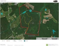 264 acres on Bannister Town Rd north of Louisa