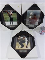 3 photos golfeurs; Mike Weir, Tiger Woods, Greg No