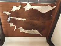 lg cowhide up on wall