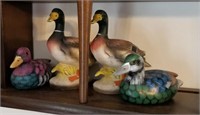 Collection of ducks