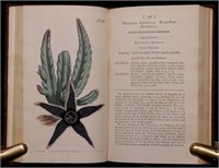[Plates]  Curtis.  Botanical Magazine, 1788-1805