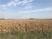Excellent 39.79 acres in Caledonia Twp, O'Brien Co