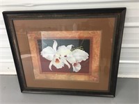 Framed White Flower Picture ~41 x 35
