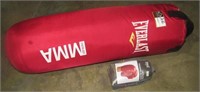 Punching Bag and Boxing Gloves-