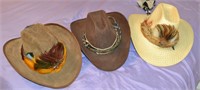 3 Country Western Cowboy Hats