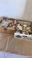 2  boxes of seashells and sand-dollars