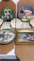 ZOLAN 8 &  81/2” collector plates Sharing