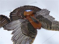 Turkey fan & wings