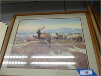 CM Russell elk picture